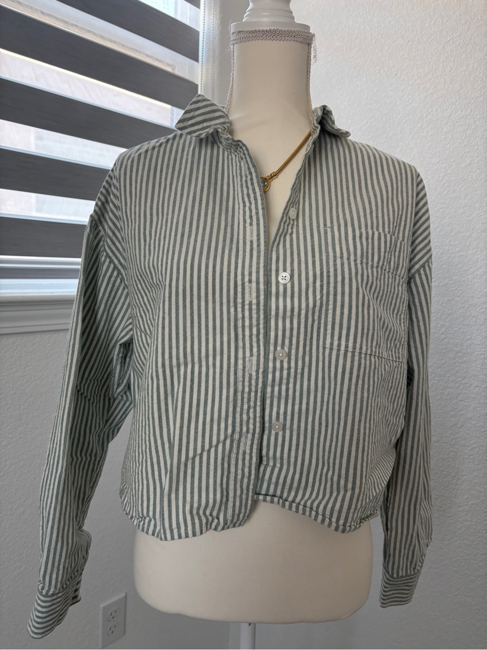 Madewell Oversized Green and White Striped Shirt